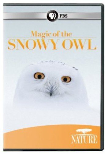 Nature: Magic of the Snowy Owl (DVD)