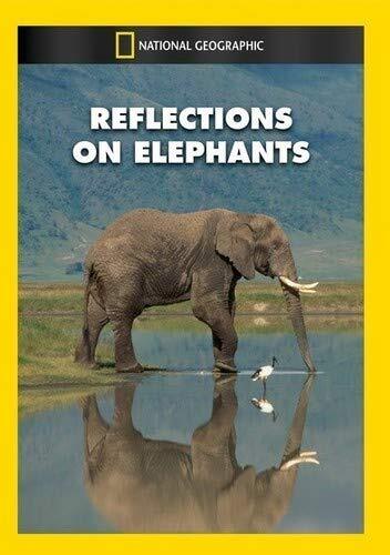 Reflections on Elephants (DVD) Beverly Joubert Dereck Joubert