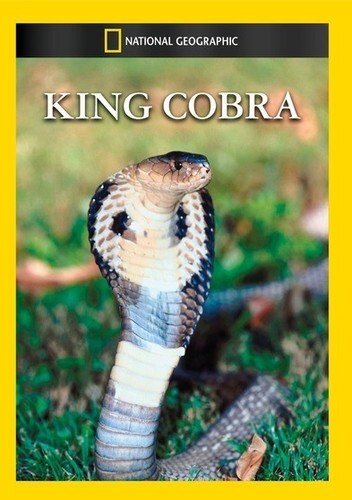 King Cobra (DVD) The King Cobra