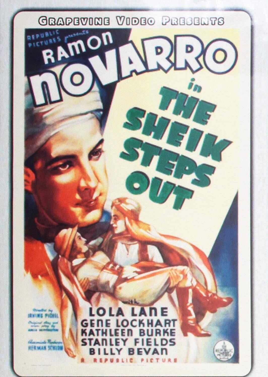 The Sheik Steps Out (DVD) Ramon Navarro Ramon Novarro Lola Lane Gene Lockhart