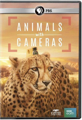 NATURE: Animals With Cameras DVD (DVD)