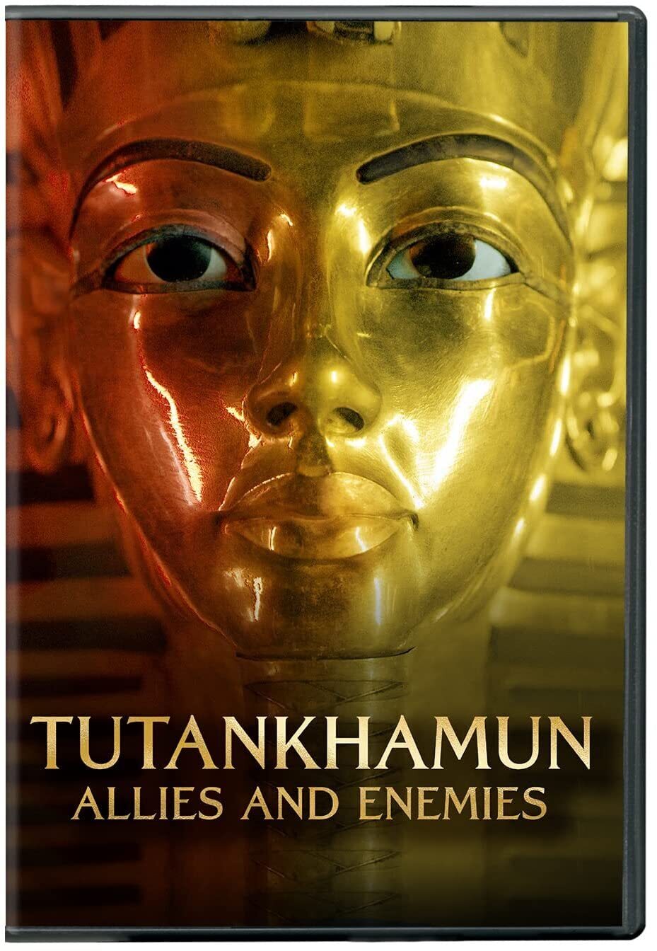 Tutankhamun: Allies And Enemies (DVD)