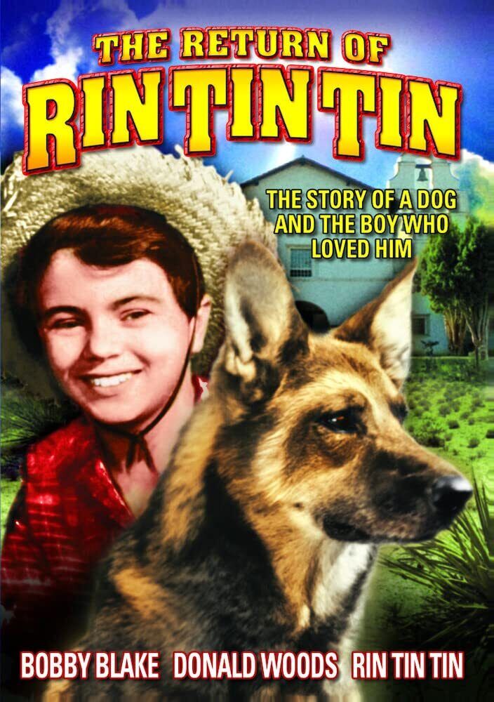 Rin Tin Tin - The Return of Rin Tin Tin (DVD) Donald Woods Robert Blake