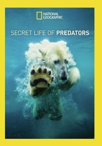 Secret Life Of Predators (DVD)