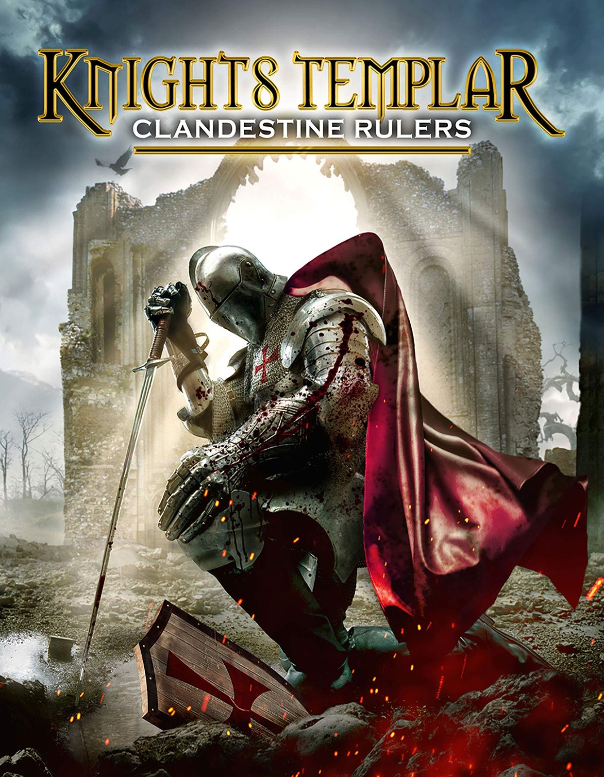 Knights Templar: Clandestine Rulers (DVD) Various