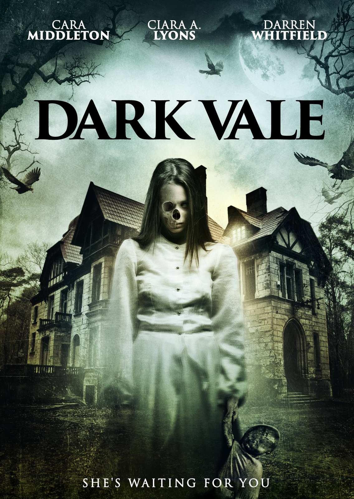 Dark Vale (DVD) Cara Middleton Chloe Clarke Martin Farmilo Sadie Kime