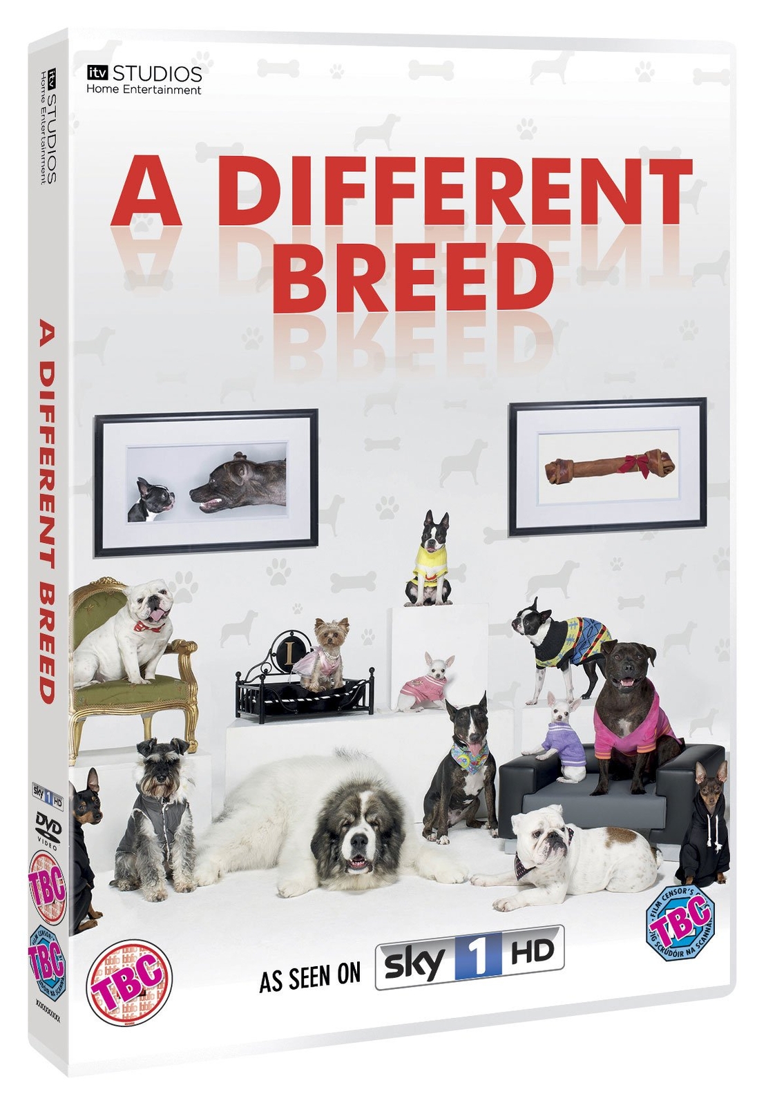A Different Breed (DVD)