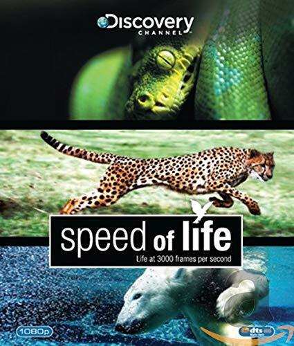 Speed of life (Blu-ray) Speed of Life Blu Ray