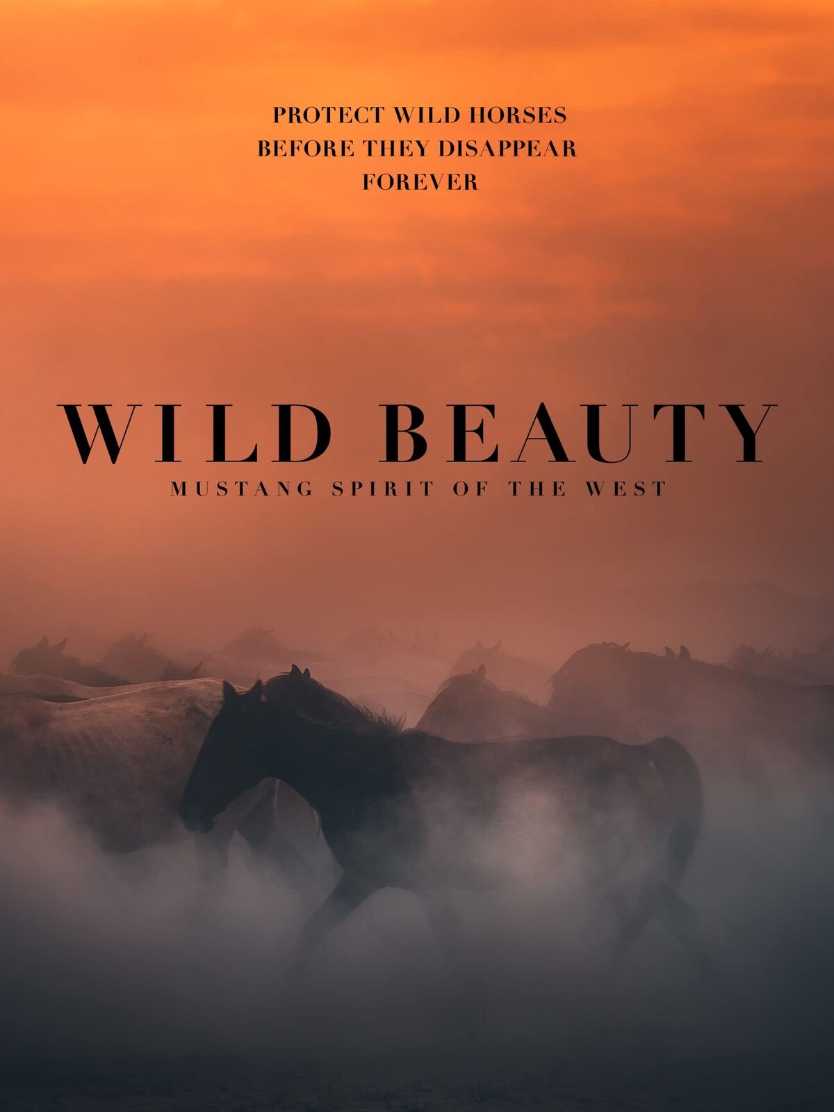 Wild Beauty Mustang Spirit of the West (DVD) Ashley Avis Erik Molvar