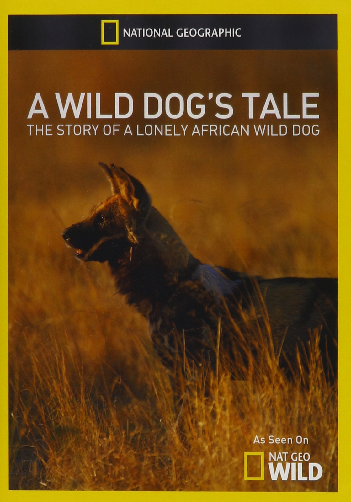 Wild Dogs Tale (DVD)