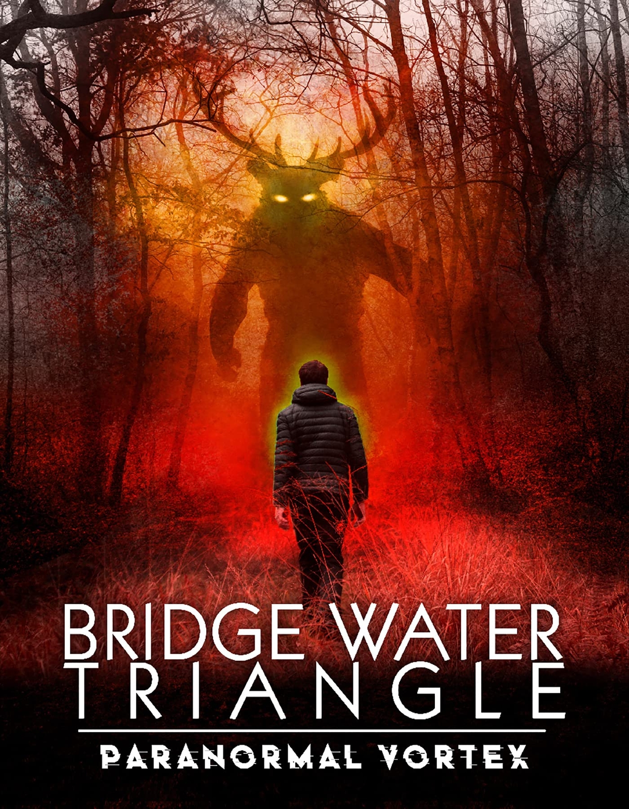 Bridgewater Triangle: Paranormal Vortex (DVD) Various