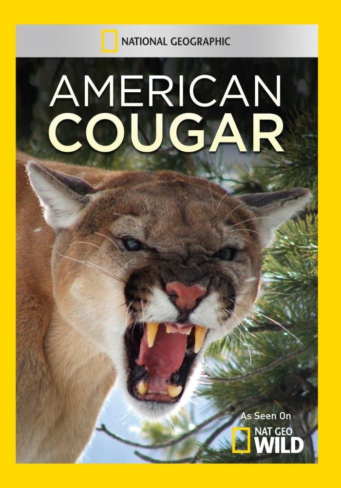 American Cougar (DVD)