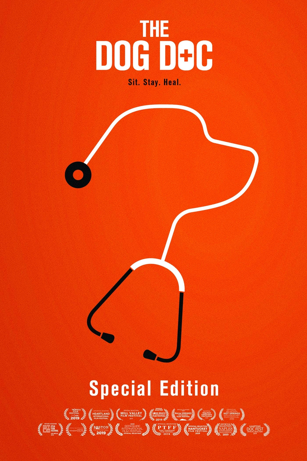 The Dog Doc: Special Edition (DVD) Marty Goldstein Randie Shane