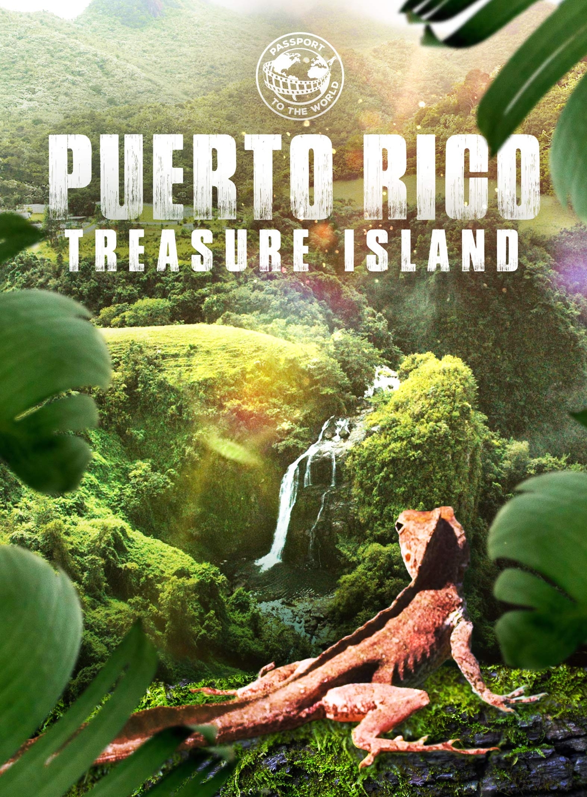 Passport To The World: Puerto Rico (DVD) Javier Santiago