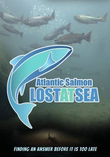 ATLANTIC SALMON - Lost at Sea (DVD) Gabriel Byrne