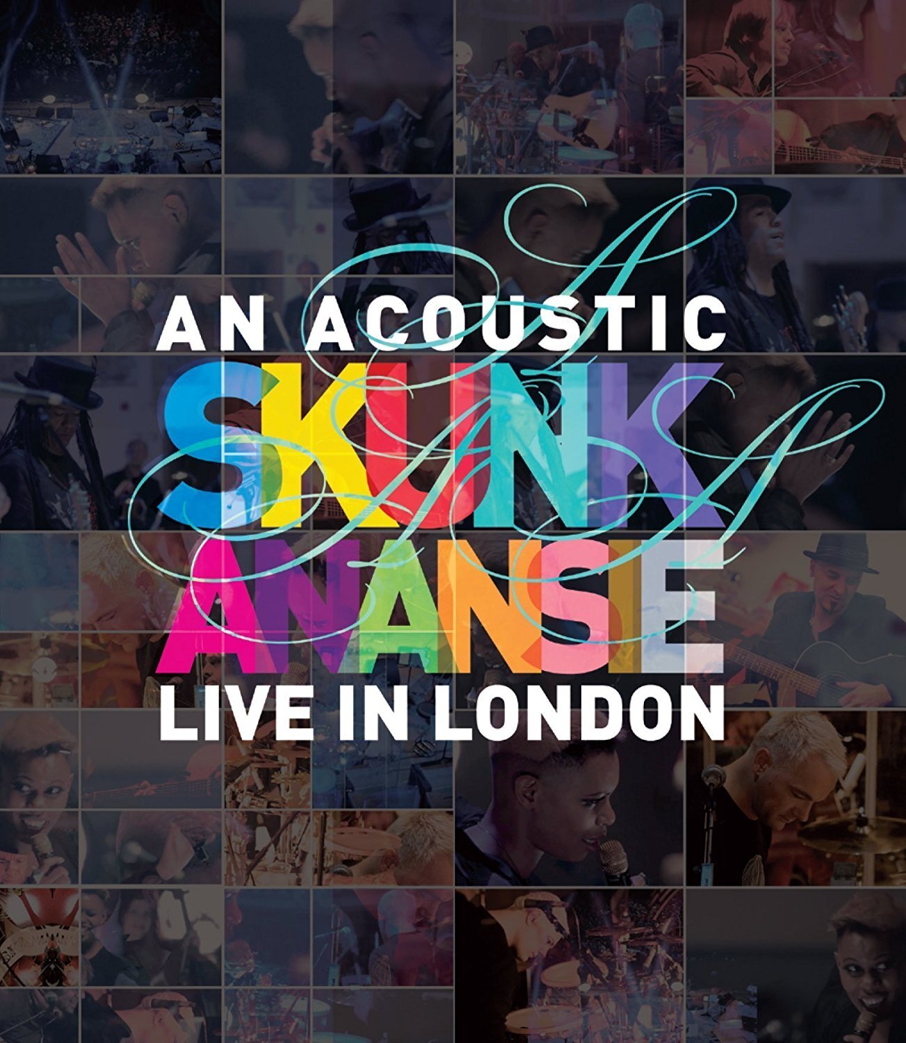 Skunk Anansie - An Acoustic Skunk Anansie/Live in London (DVD) Skunk Anansie