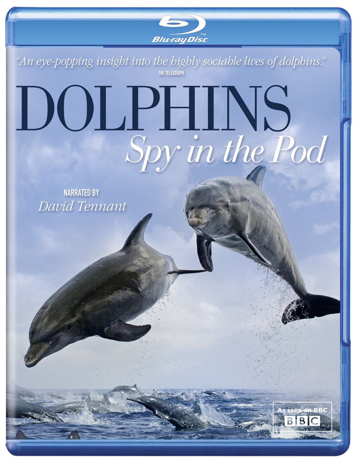 Dolphins Spy in the Pod (Blu-ray)
