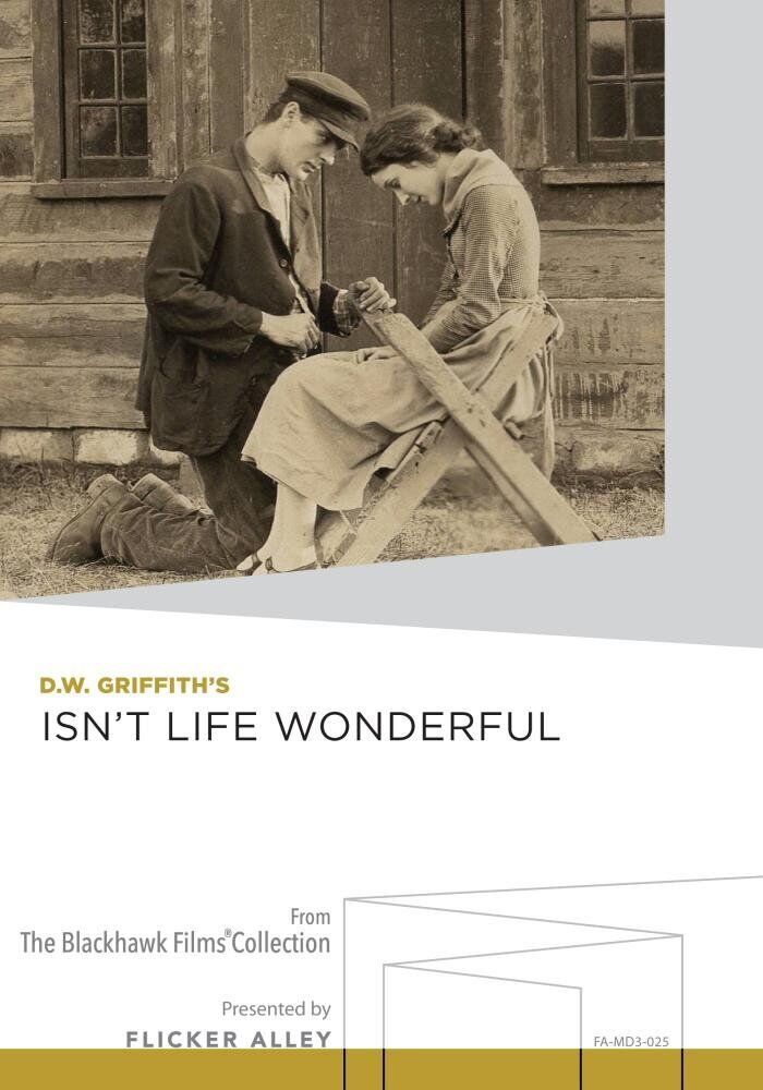 Isn't Life Wonderful (DVD) Carol Dempster Erville Alderson Neil Hamilton