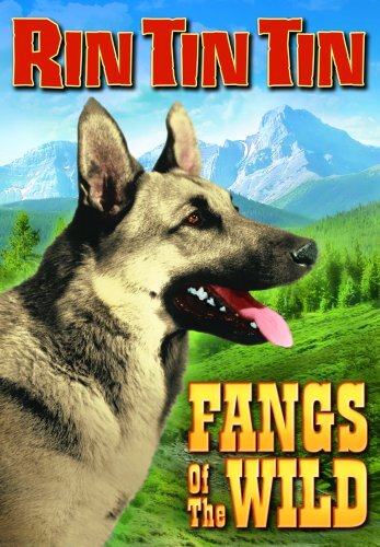 Rin Tin Tin - Fangs Of The Wild (DVD) Rin Tin Tin