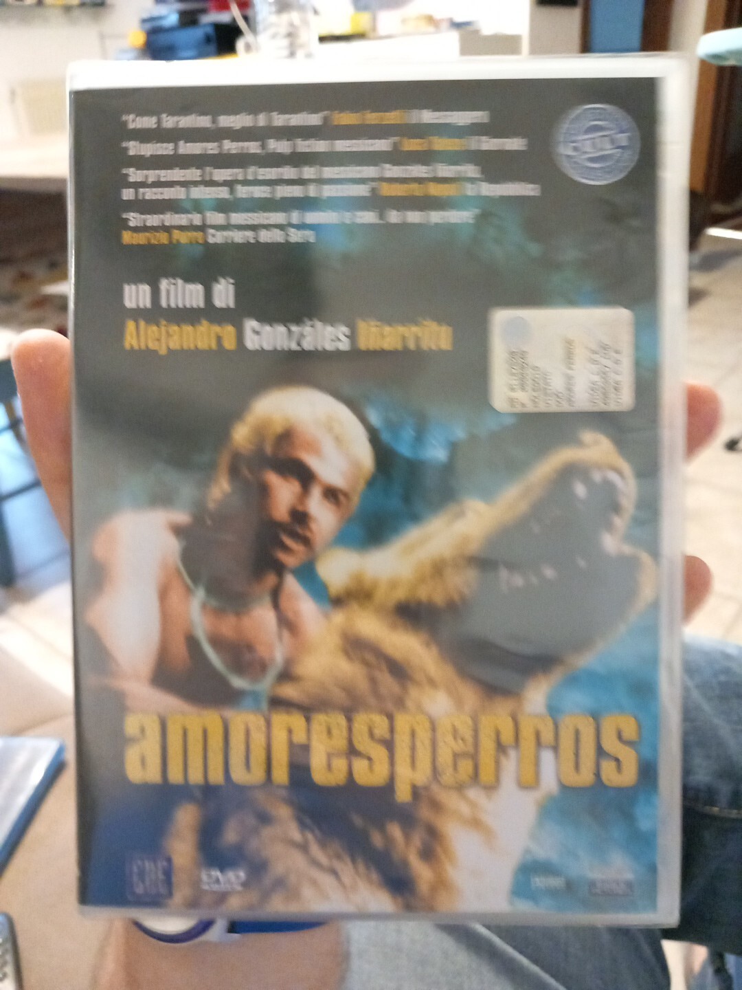AMORES PERROS di A.G. Inarritu DVD ITA NUOVO
