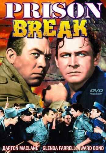 Prison Break (DVD)