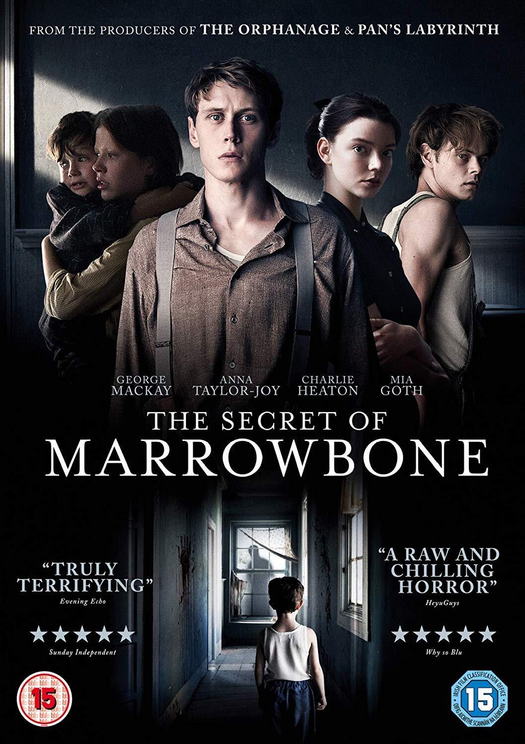 The Secret of Marrowbone (DVD)
