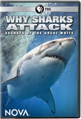 Nova: Why Sharks Attack (DVD)