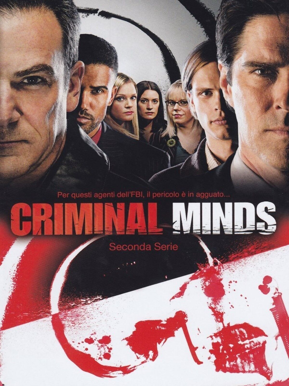 COFANETTO DVD - CRIMINAL MINDS STAGIONE 2 SERIE TV (6 DVD) Nuovo