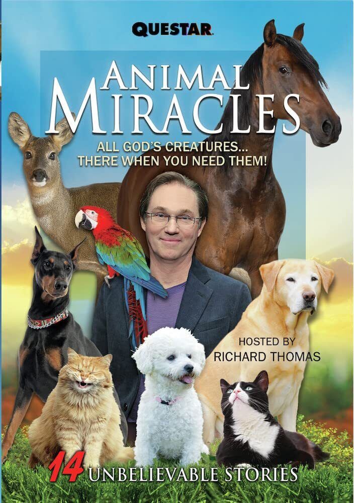 Animal Miracles (DVD) Richard Thomas Nia Peeples