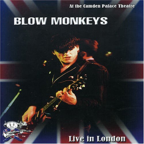 BLOW MONKEYS - LIVE IN LONDON (DVD) BLOW MONKEYS