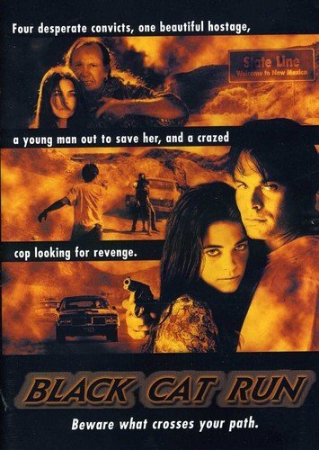 Black Cat Run (DVD) Amelia Heinle Jake Busey Jeffrey De Munn Patrick Muldoon