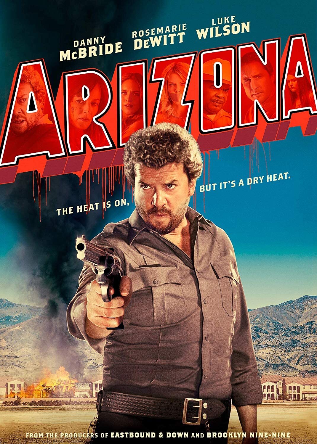 Arizona (DVD) Danny McBride Rosemarie DeWitt Luke Wilson