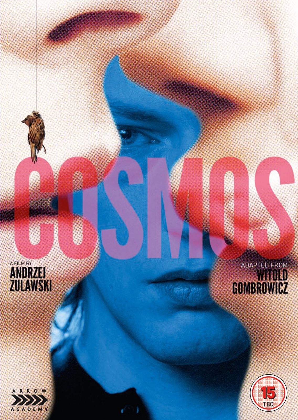 Cosmos (DVD) Sabine Azéma Jean-François Balmer Jonathan Genet