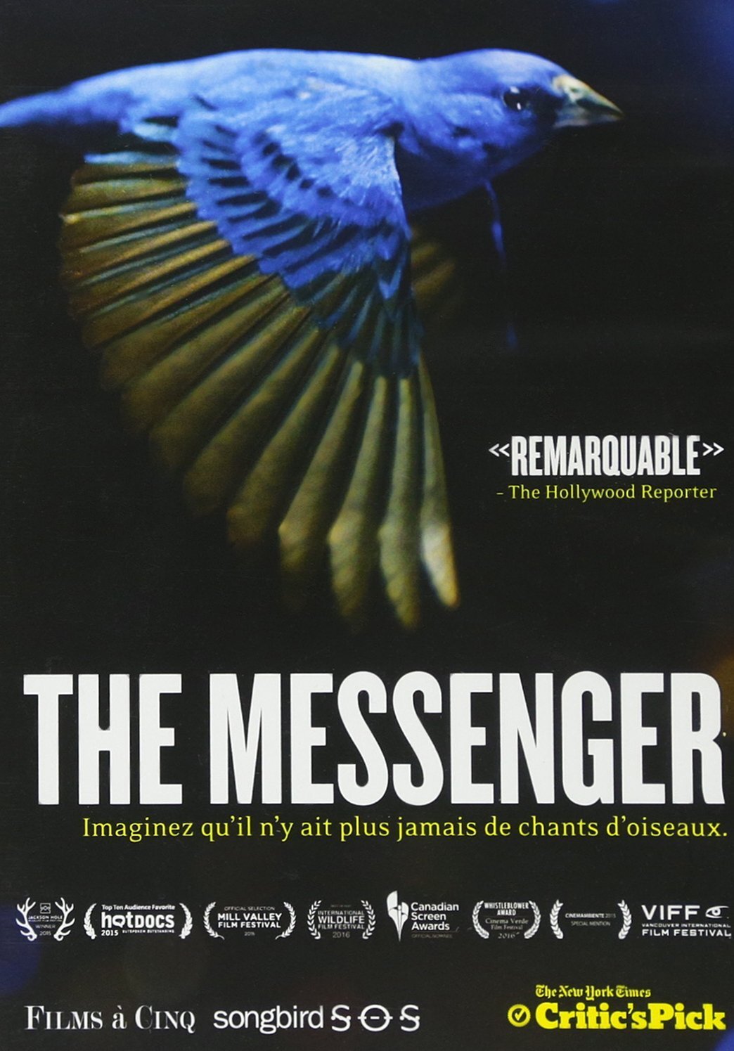 Messenger (DVD)