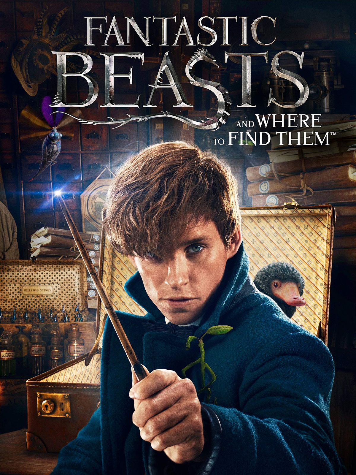 Fantastic Beasts and Where to Find Them (DVD)