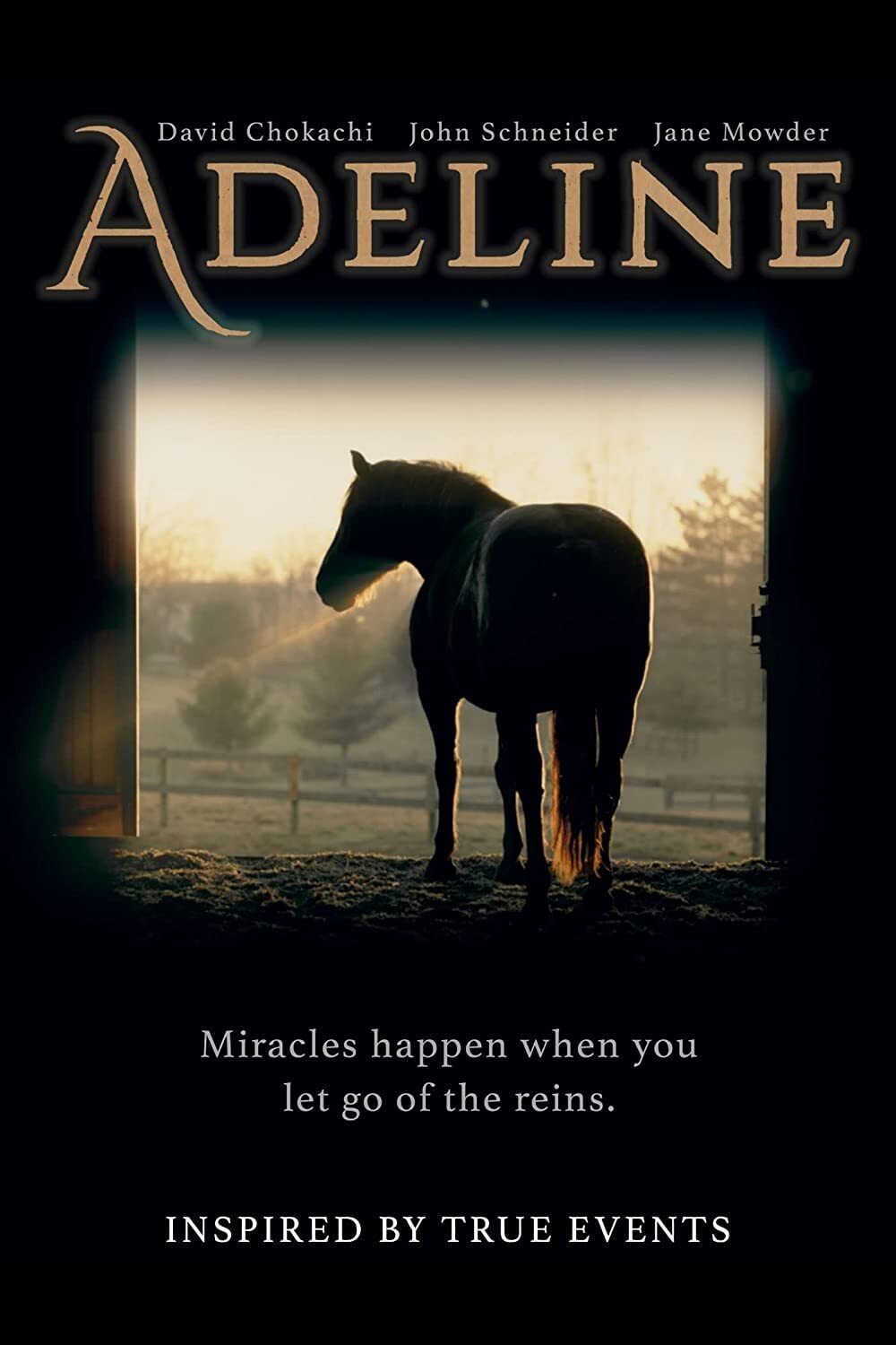Adeline (DVD) Jake Satow David Chokachi John Schneider