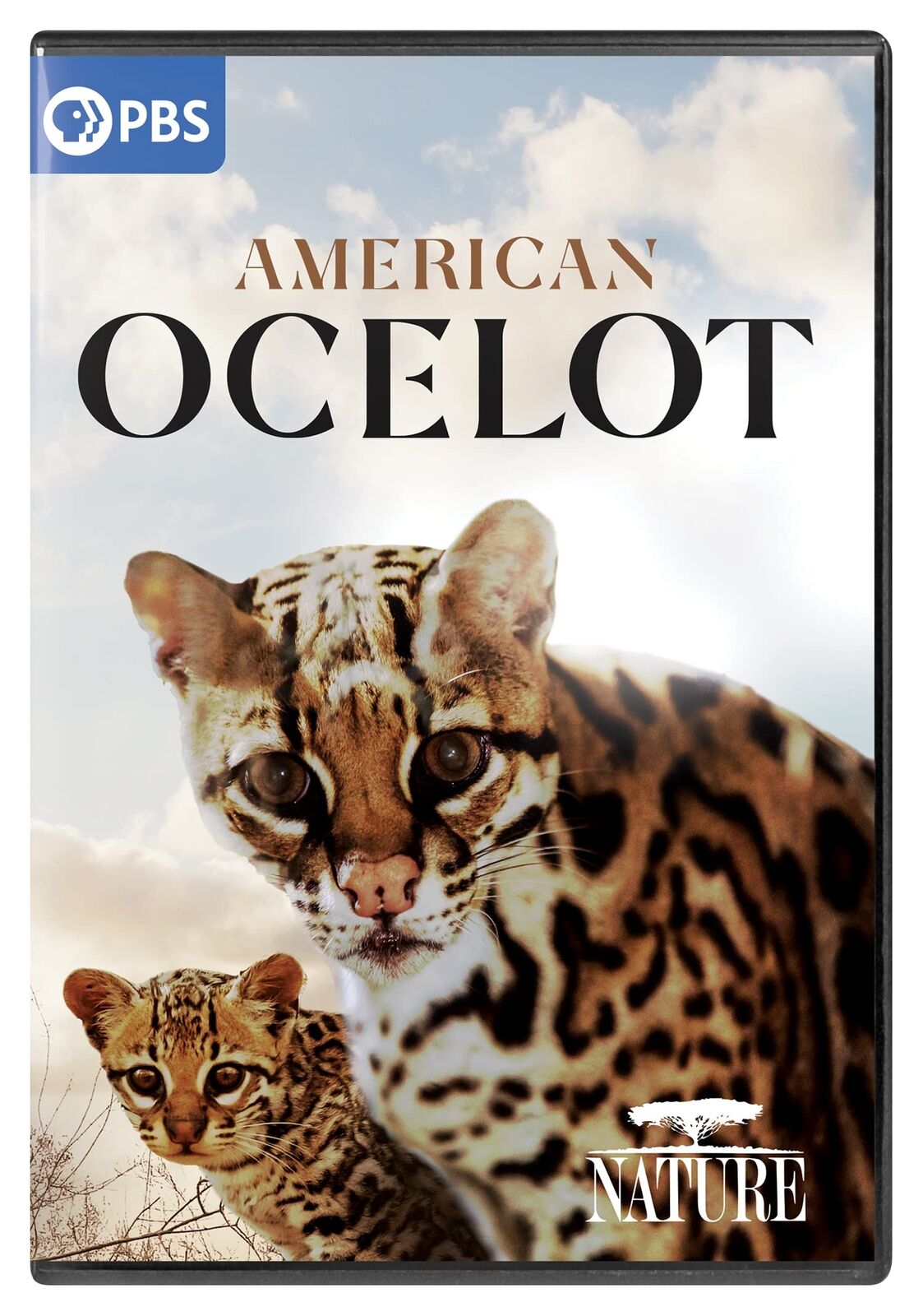 NATURE: American Ocelot (DVD)