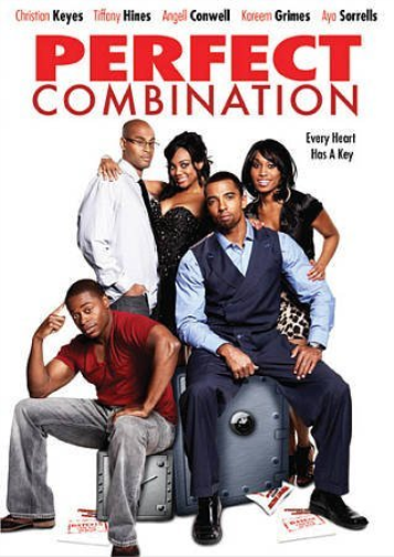 Perfect Combination (DVD)