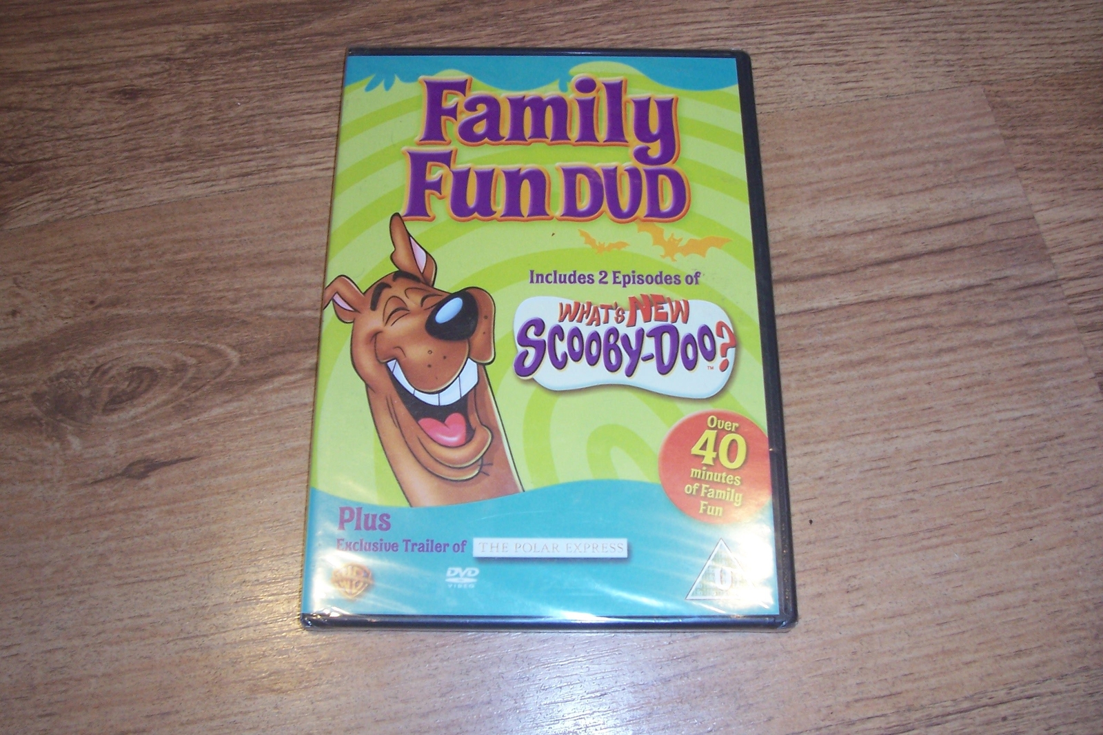 Family Fun DVD (DVD)