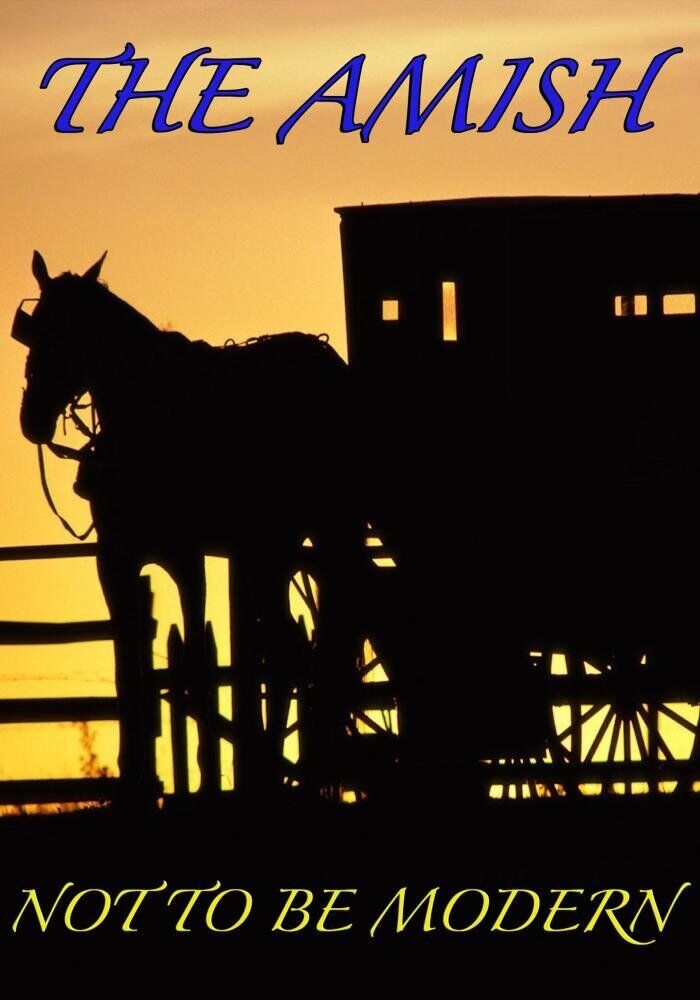 The Amish: Not to be Modern (DVD)