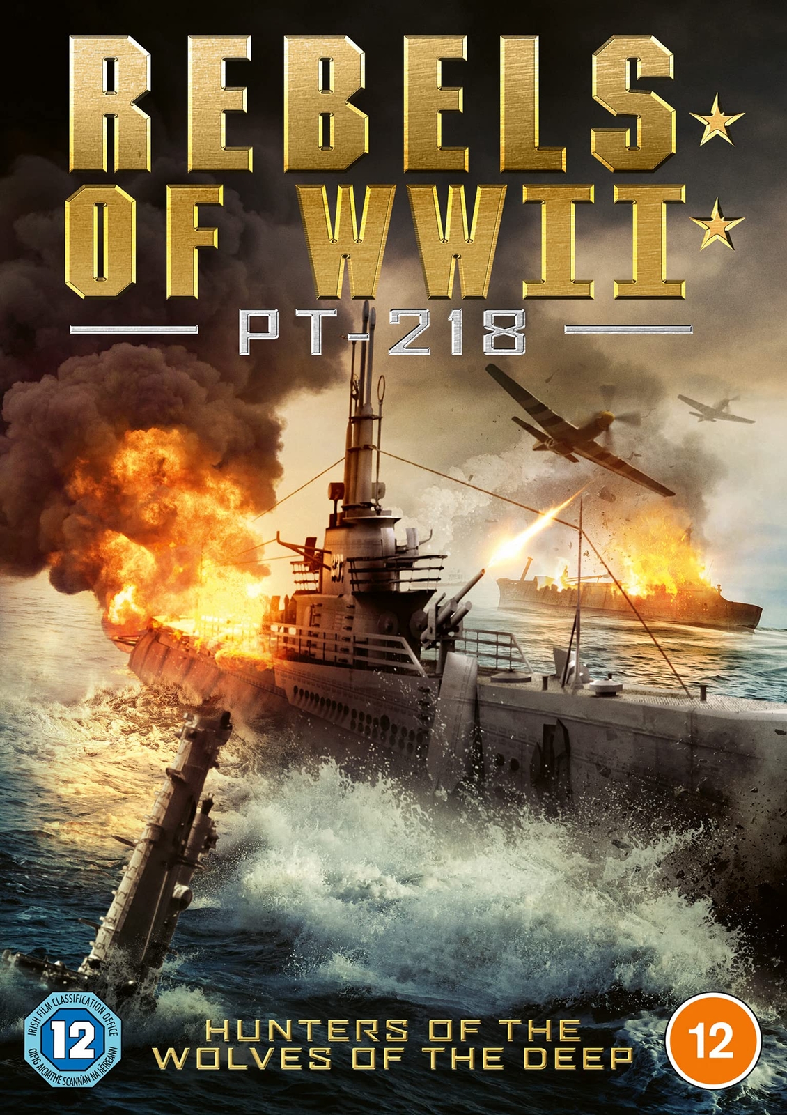 Rebels of WWII (DVD)