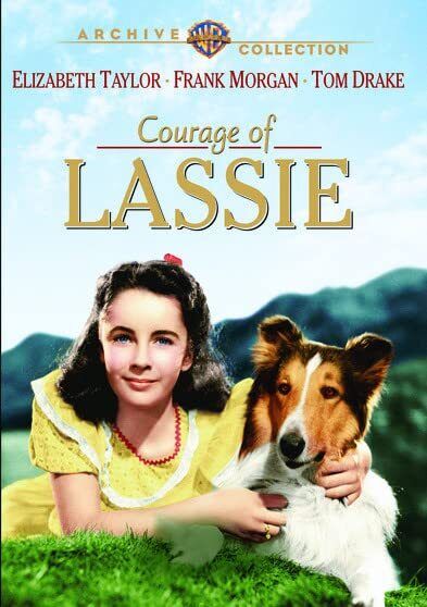 The Courage Of Lassie (DVD) Elizabeth Taylor Frank Morgan Tom Drake