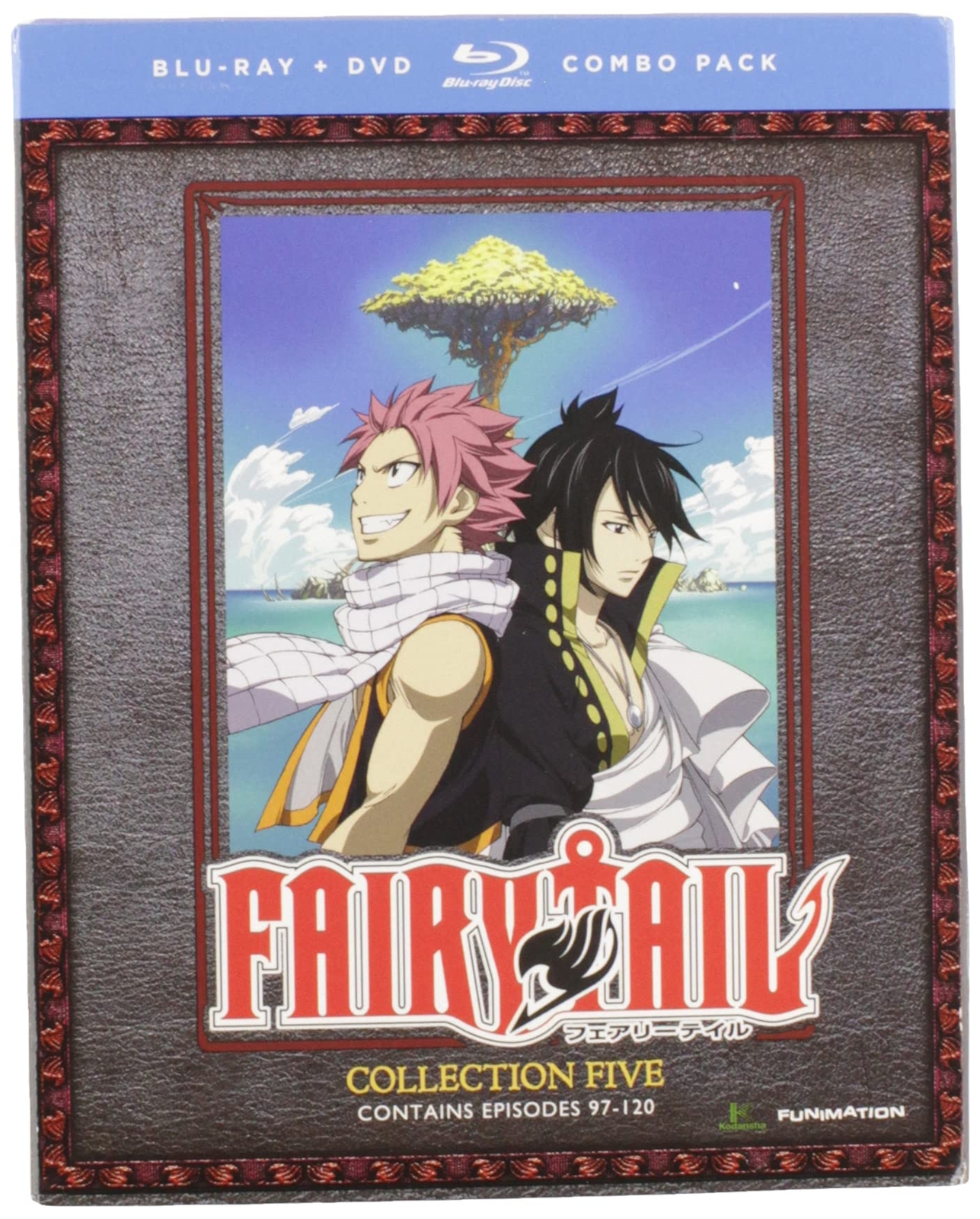 FAIRY TAIL - COLLECTION FIVE-FAIRY TAIL - COLLECTION FIVE (DVD)