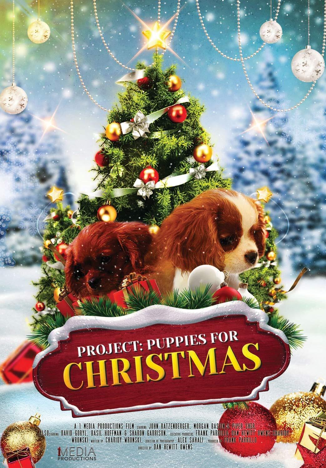 Project: Puppies for Christmas (DVD)