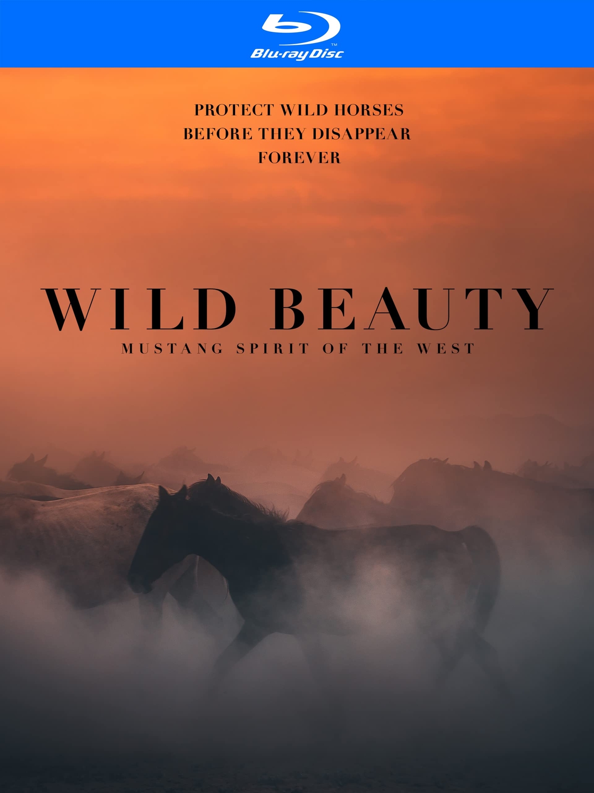 Wild Beauty Mustang Spirit of the West (Blu-ray) Ashley Avis Erik Molvar
