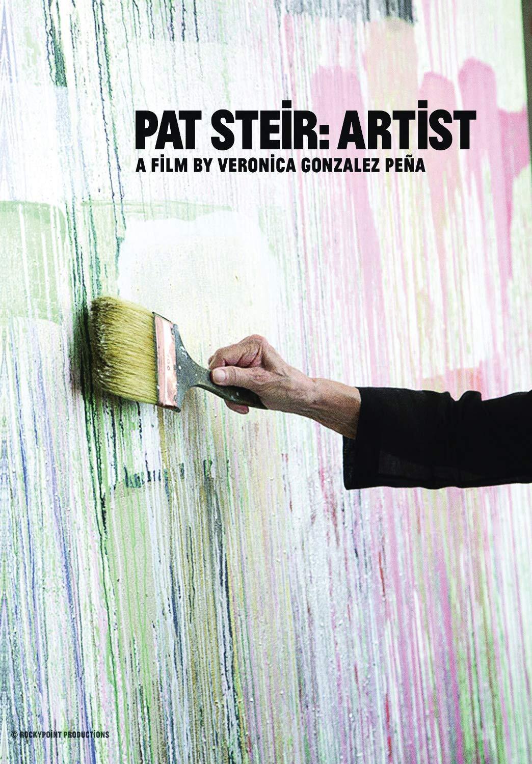 Pat Steir: Artist (DVD) Anne Carson Pat Steir Sylvere Lotringer
