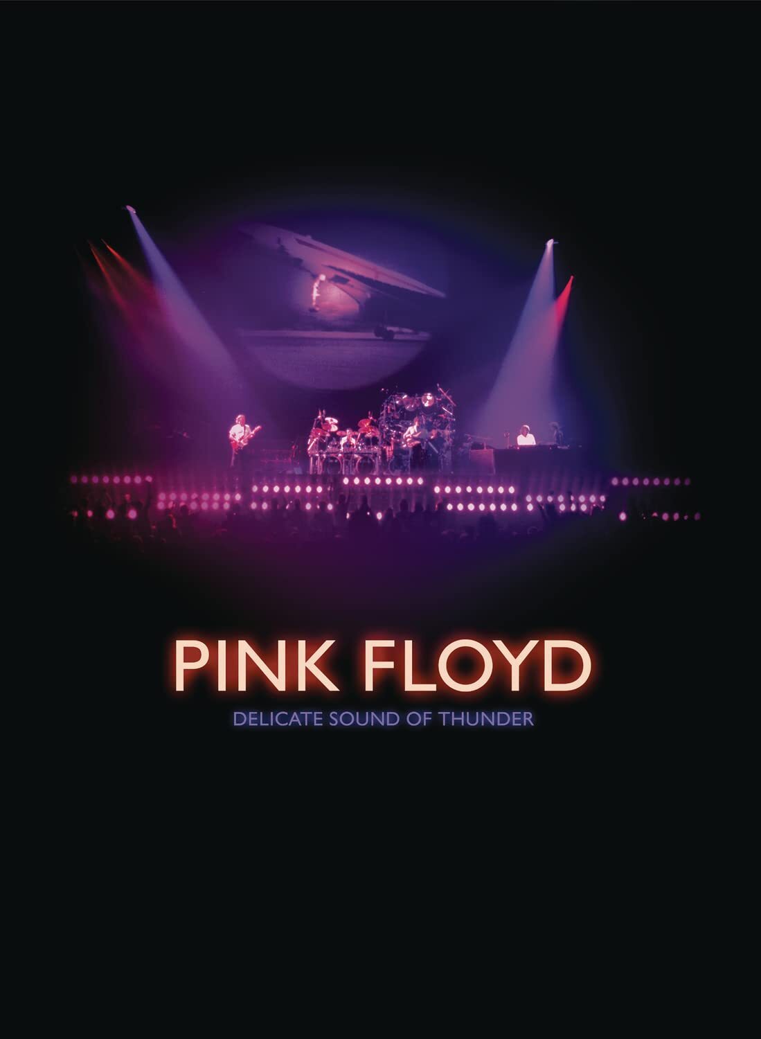 Delicate Sound of Thunder (DVD)