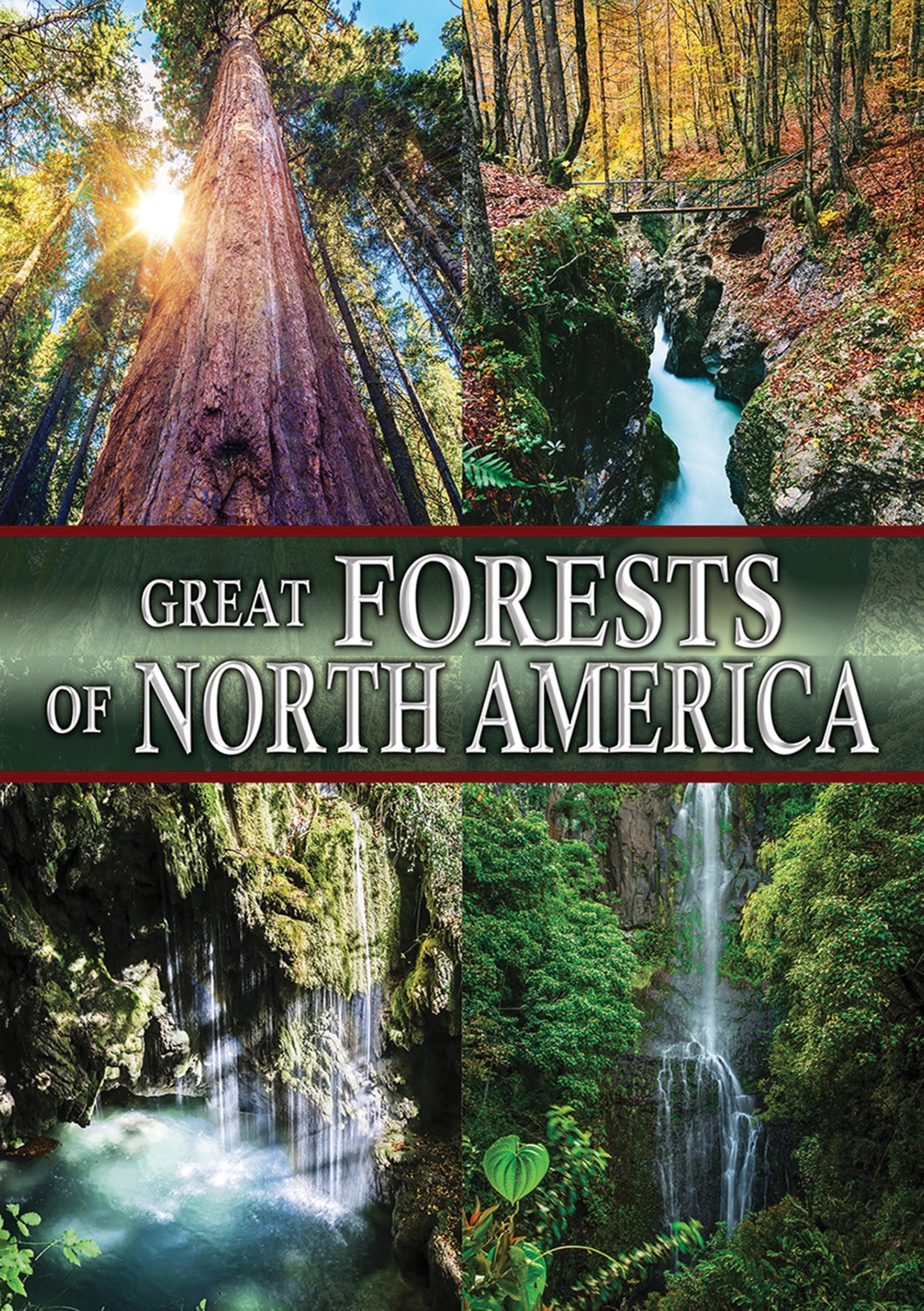 Great Forests Of North America (DVD) Various