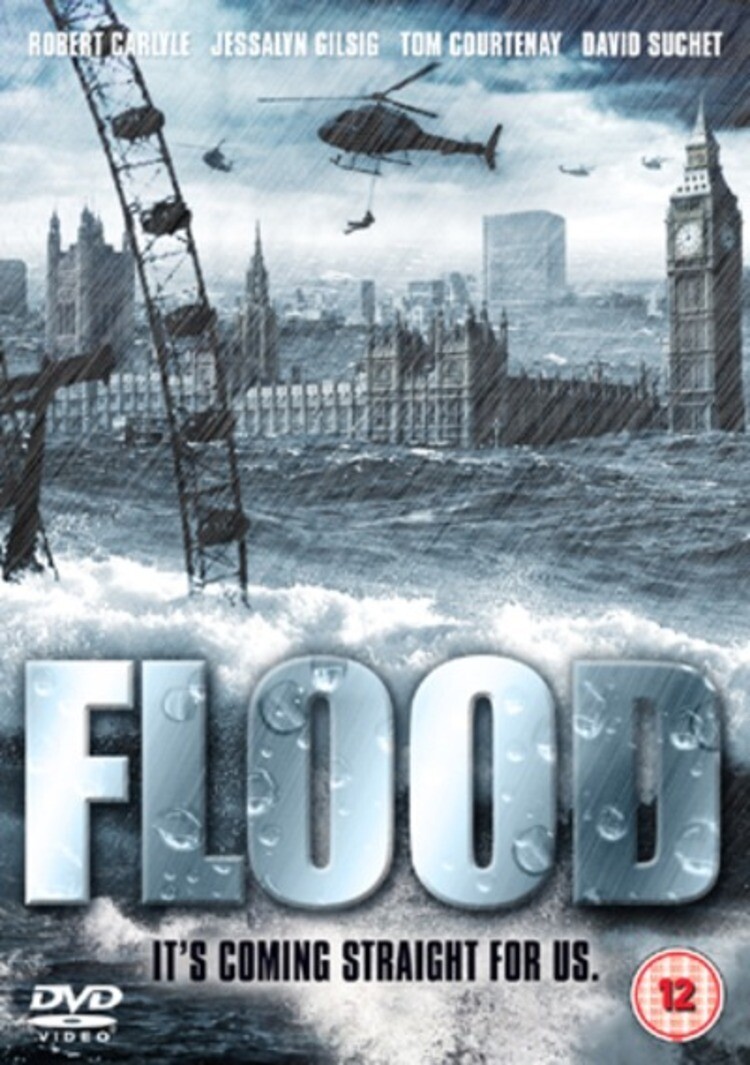 Flood (DVD)