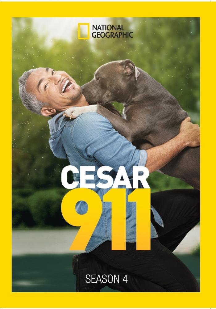 Cesar 911 Season 4 (DVD) Cesar Milan